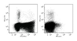 IL-17A Mouse anti-Human, PE, Clone: N49-653, BD:Antibodies:Primary Antibodies