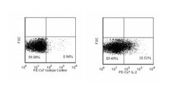 IL-2 Rat anti-Mouse, PE-Cy7, Clone: JES6-5H4, BD 50&mu;g; PE-Cy7:Antibodies,