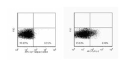IL-2 Rat anti-Mouse, APC-Cy7, Clone: JES6-5H4, BD 50&mu;g; APC-Cy7:Antibodies,