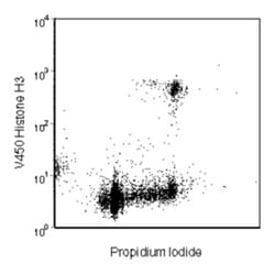 H3 (pS28) Rat, V450, Clone: HTA28, BD 50 Tests; V450:Antibodies, Monoclonal