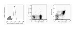 CXCR5 Rat anti-Mouse, APC, Clone: 2G8, BD 50&mu;g; APC:Antibodies, Monoclonal