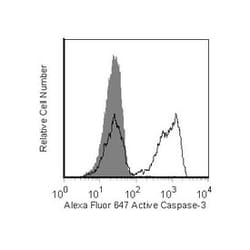 Caspase-3 Rabbit, Alexa Fluor 647, Clone: C92-605, BD 50 Tests; Alexa Fluor