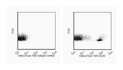 CD20 Mouse anti-Human, Alexa Fluor 700, Clone: 2H7, BD 50 Tests | Buy Online | BD Biosciences | Fisher Scientific