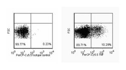 TNF Rat anti-Mouse, PerCP-Cy5.5, Clone: MP6-XT22, BD 50 &mu;g | Buy Online | BD Biosciences | Fisher Scientific