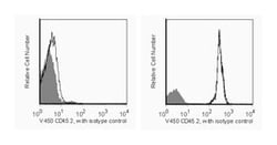 CD45.2 Mouse anti-Mouse, V450, Clone: 104, BD 50&mu;g; V450:Antibodies,
