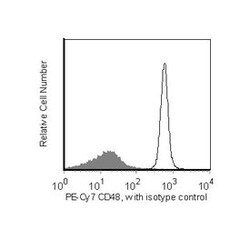CD48 (BCM-1) Hamster anti-Mouse, PE-Cy7, Clone: HM48-1, BD 50&mu;g; PE-Cy7:Antibodies,
