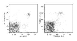 CD335 (NKp46) Rat anti-Mouse, PE, Clone: 29A1.4, BD 0.1mg; PE:Antibodies,