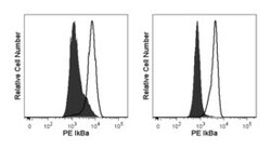 IkBa Mouse anti-Human, PE, Clone: 25/IkBa/MAD-3, BD 50 Tests; PE:Antibodies,