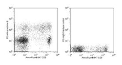 Granzyme B Mouse anti-Human, PE, Clone: GB11, BD 100 Tests; PE:Antibodies,