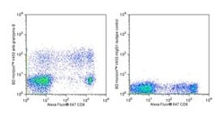 Granzyme B Mouse anti-Human, V450, Clone: GB11, BD 50 Tests | Buy Online | BD Biosciences | Fisher Scientific