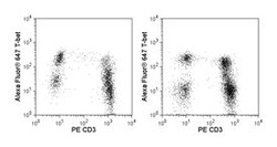 T-Bet Mouse, Alexa Fluor 647, Clone: 4B10, BD 50 Tests; Alexa Fluor 647:Antibodies,