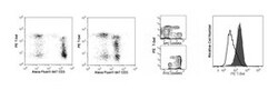 T-bet Mouse, PE, Clone: O4-46, BD 50 Tests; PE:Antibodies, Monoclonal