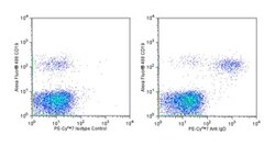 IgD Mouse anti-Human, PE-Cy7, Clone: IA6-2, BD 50 Tests; PE-Cy7:Antibodies,