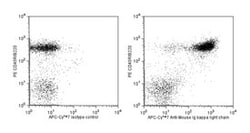 Ig Light Chain Rat anti-Mouse, APC-Cy7, Clone: 187.1, BD 50 &mu;g | Buy Online | BD Biosciences | Fisher Scientific