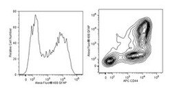 GFAP Mouse, Alexa Fluor 488, Clone: 1B4, BD 50 Tests; Alexa Fluor 488:Antibodies,