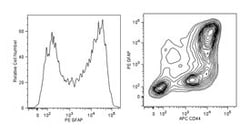 GFAP Mouse, PE, Clone: 1B4, BD 50 Tests; PE:Antibodies, Monoclonal