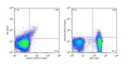 FoxP3 Mouse anti-Human, PerCP-Cy5.5, Clone: 236A/E7, BD 50 Tests; PerCP-Cy5.5:Antibodies,