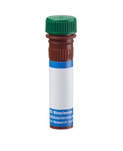 Alkaline Phosphatase Mouse anti-Human, Alexa Fluor 488, Clone: B4-78, BD