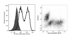Doublecortin Mouse, PE, Clone: 30/Doublecortin, BD 50 Tests | Buy Online | BD Biosciences | Fisher Scientific