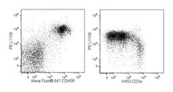 Ly-108 Mouse anti-Mouse, PE, Clone: 13G3, BD 0.1mg; PE:Antibodies, Monoclonal