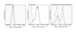 Sox1 Mouse anti-Human, PE, Clone: N23-844, BD 50 Tests; PE:Antibodies,
