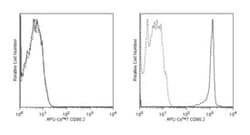 CD90.2 Rat anti-Mouse, APC-Cy7, Clone: 53-2.1, BD 50&mu;g; APC-Cy7:Antibodies,