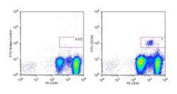 CD294 Rat anti-Human, FITC, Clone: BM16, BD 50&mu;g; FITC:Antibodies, Monoclonal