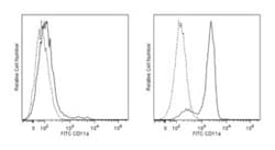 CD11a Rat anti-Mouse, FITC, Clone: 2D7, BD 0.5mg; FITC:Antibodies, Monoclonal