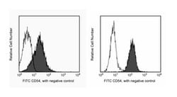 CD54 Hamster anti-Mouse, FITC, Clone: 3E2, BD:Antikörper:Primärantikörper