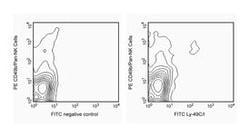 Ly-49C and Ly-49I Mouse anti-Mouse, FITC, Clone: 5E6, BD 0.5mg; FITC:Antibodies,