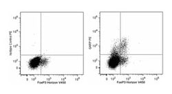 GARP Mouse anti-Human, PE, Clone: 7B11, BD 100 Tests; PE:Antibodies, Monoclonal