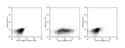 IFN- Mouse anti-Rat, Alexa Fluor 647, Clone: DB-1, BD 50 tests; Alexa Fluor