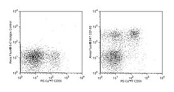 CD160 Mouse anti-Human, Alexa Fluor 647, Clone: BY55, BD 100 Tests; Alexa