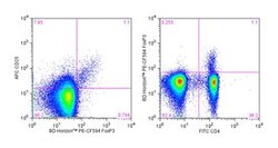 FoxP3 Mouse anti-Human, PE-CF594, Clone: 259D/C7, BD 50 Tests; PE-CF594:Antibodies,