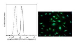 EZH2 Mouse, Alexa Fluor 488, Clone: 11/EZH2, BD 50 tests; Alexa Fluor 488:Antibodies,