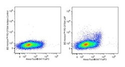 LAP Mouse anti-Human, PE-CF594, Clone: TW4-2F8, BD 50 tests; PE-CF594:Antibodies,
