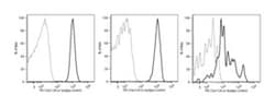 Clec12A Mouse anti-Human, PE, Clone: 50C1, BD 50 Tests; PE:Antibodies,