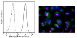 CD107A Mouse anti-Human, Brilliant Violet 421, Clone: H4A3, BD 50 tests;