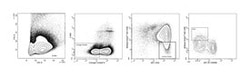 Human Lineage Cocktail 4 (lin 4) (CD2, CD3, CD4, CD7, CD8, CD10, CD11b, CD14, CD19, CD20, CD56, CD235a); BD Biosciences 50 Tests | Buy Online | BD Biosciences | Fisher Scientific