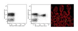 CD103 Rat anti-Mouse, Brilliant Violet 421, Clone: M290, BD 25&mu;g; Brilliant