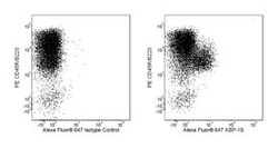 anti-XBP-1S; Clone: Q3-695; BD 50 Tests; Alexa Fluor 647:Antibodies, Monoclonal