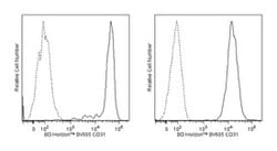 CD31 Mouse anti-Human, Brilliant Violet 605, Clone: WM59, BD 50 Tests;