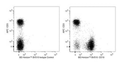 CD19 Rat anti-Mouse, Brilliant Violet 510, Clone: 1D3, BD 50 &mu;g | Buy Online | BD Biosciences | Fisher Scientific