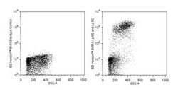 Ly-6G and Ly-6C Rat anti-Mouse, Brilliant Violet 510, Clone: RB6-8C5, BD 50 &mu;g | Buy Online | BD Biosciences | Fisher Scientific