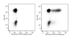 anti-IFN- Clone: B27; BD 50 Tests; BV510:Antibodies, Monoclonal