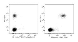 CD40 Mouse anti-Human, Brilliant Violet 421, Clone: 5C3, BD 50 Tests; Brilliant