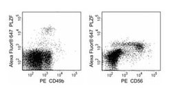 PLZF Mouse, Alexa Fluor 647, Clone: R17-809, BD 50&mu;g; Alexa Fluor 647:Antibodies,