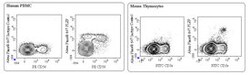 PLZF Mouse, Alexa Fluor 647, Clone: R17-809, BD 50&mu;g; Alexa Fluor 647:Antibodies,