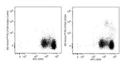 CD294 (CRTH2) Rat anti-Human, PE-CF594, Clone: BM16, BD 50 Tests; PE-CF594:Antibodies,