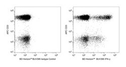 IFN-Gamma Mouse anti-Human, BUV395, Clone: B27, BD 50 Tests | Buy Online | BD Biosciences | Fisher Scientific
